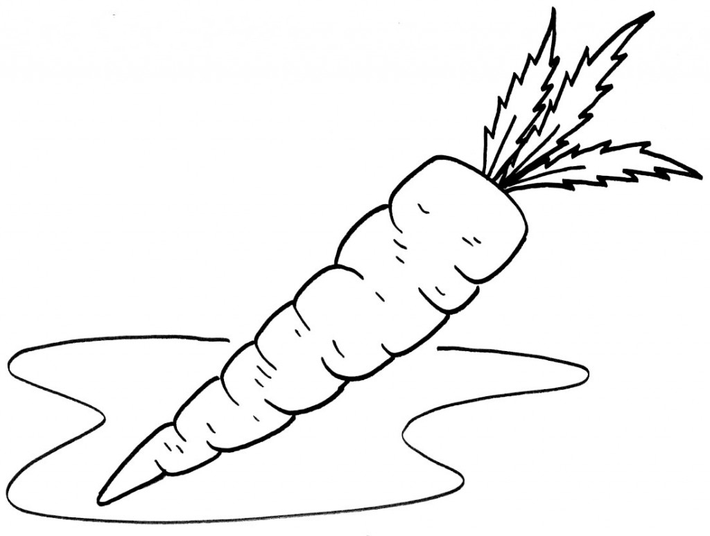 Carrot drawing and coloring page