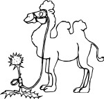 Camel drawing and coloring page 2