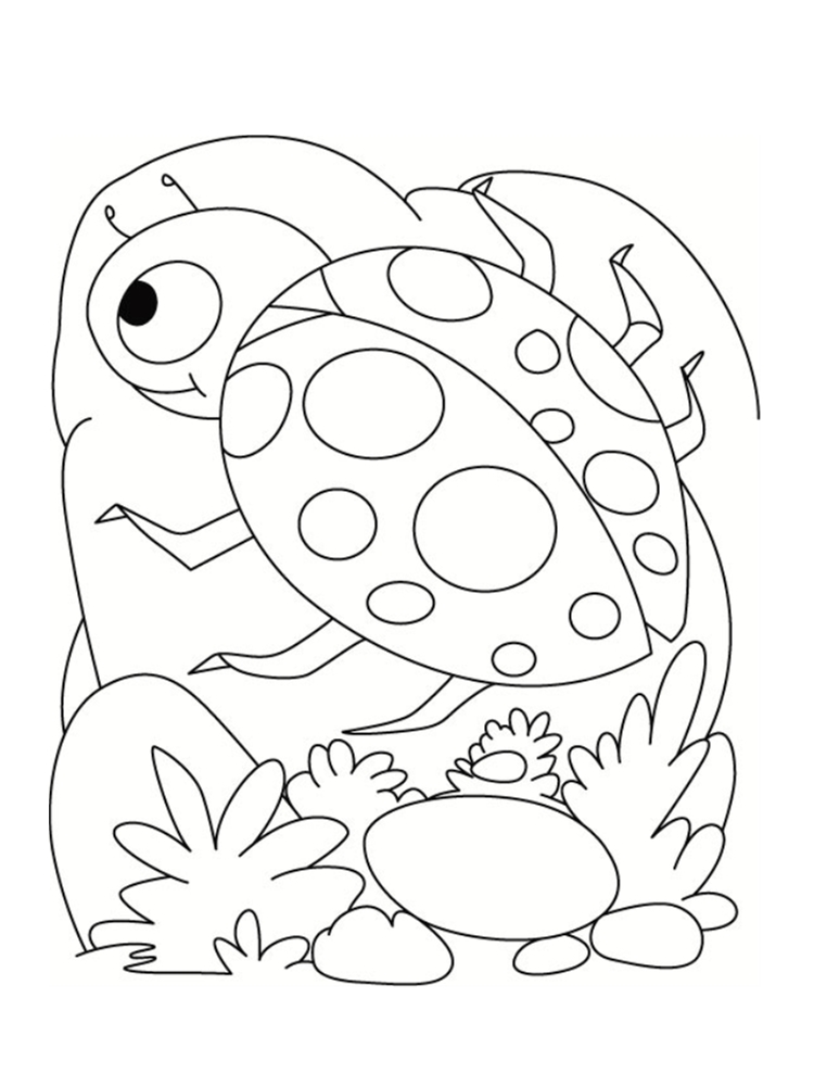 Ladybug drawing and coloring page