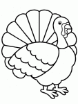 Turkey drawing and coloring page