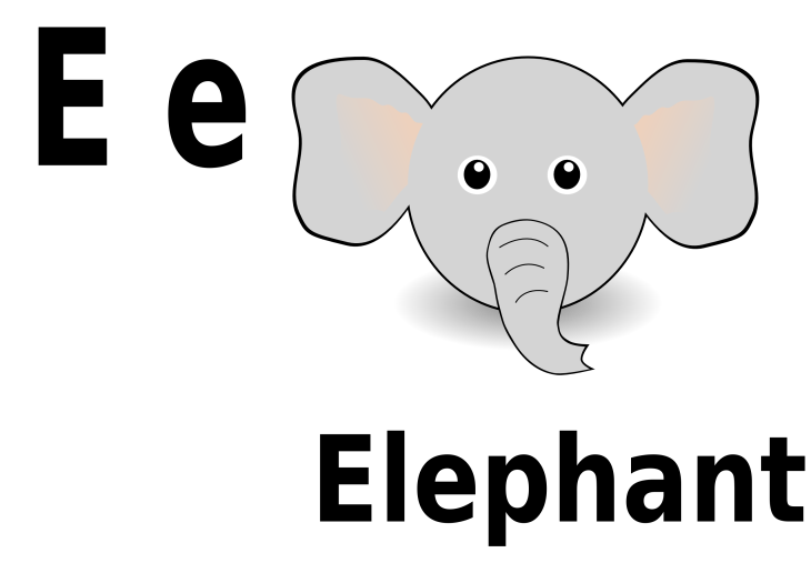 E élephant