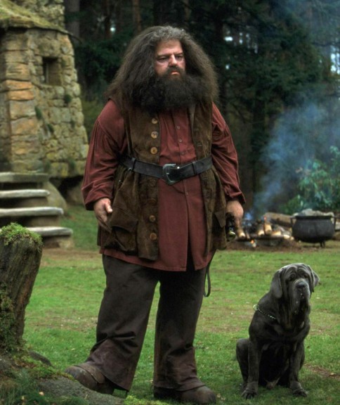 Hagrid