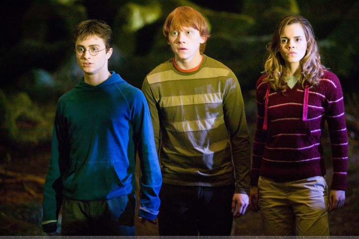 Harry Potter And His Friends