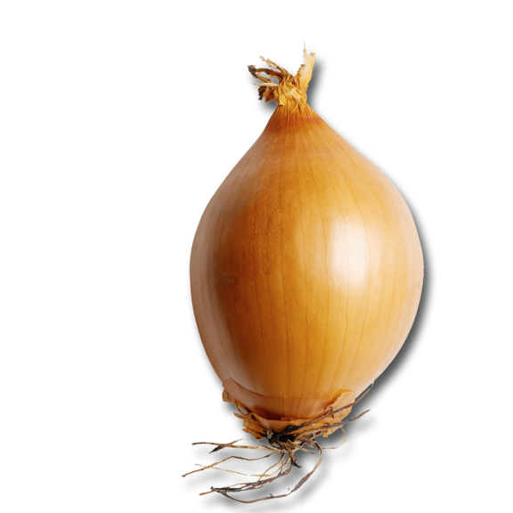 Onion