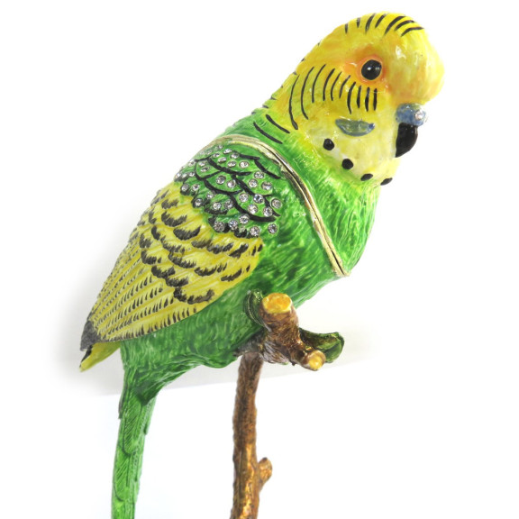 Disegno di Budgie da colorare