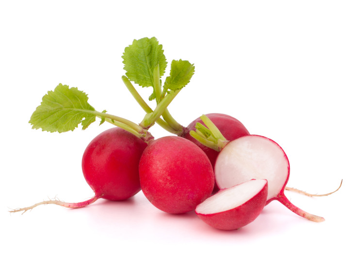 Radish