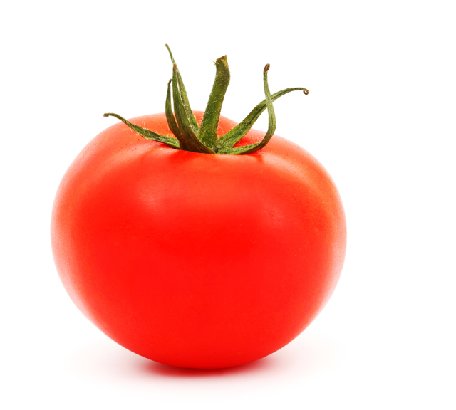 Tomate fruit