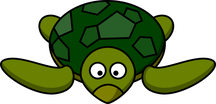 Tortue marrante