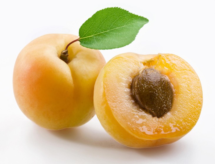 Apricot