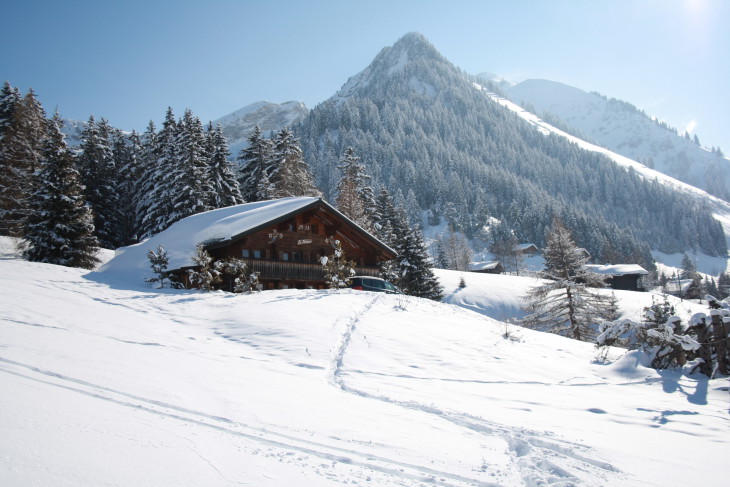 Disegno di Chalet in montagna da colorare