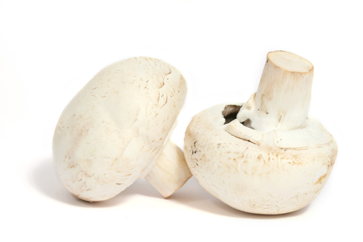 Champignon de paris