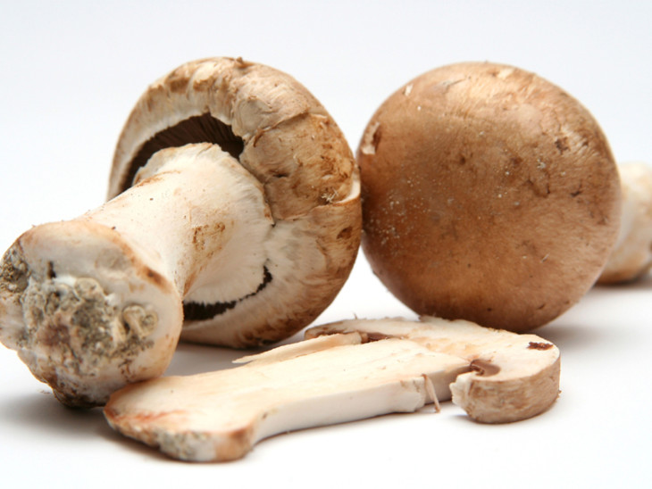 Champignons