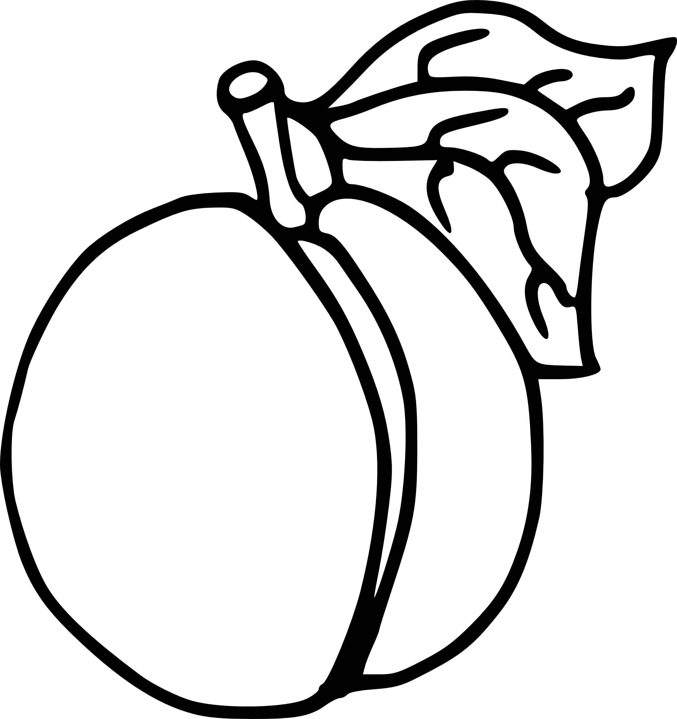 Apricot coloring page