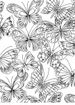 Adult Butterfly coloring page
