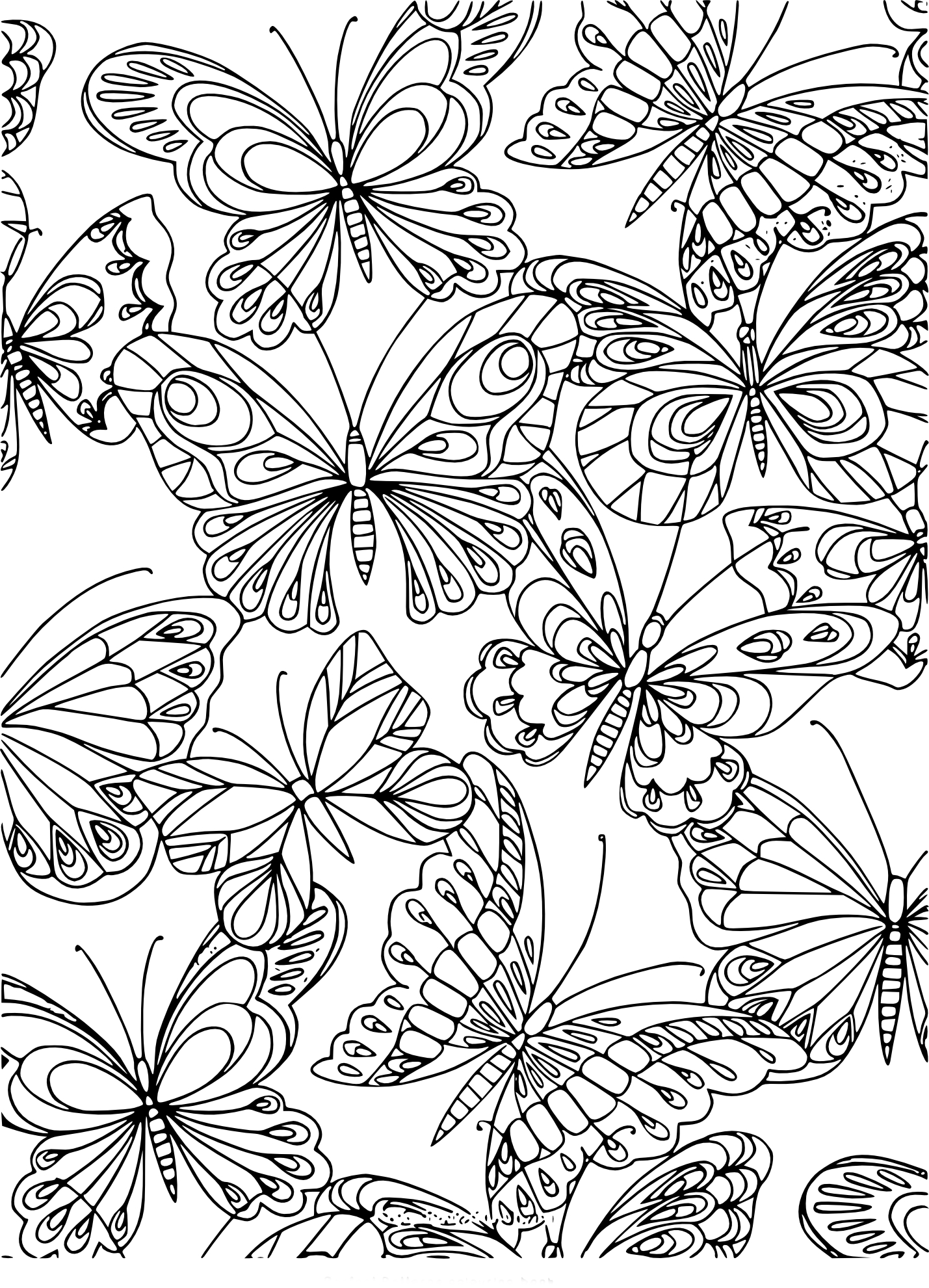 Coloriage adulte papillon