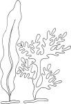 Seaweed coloring page