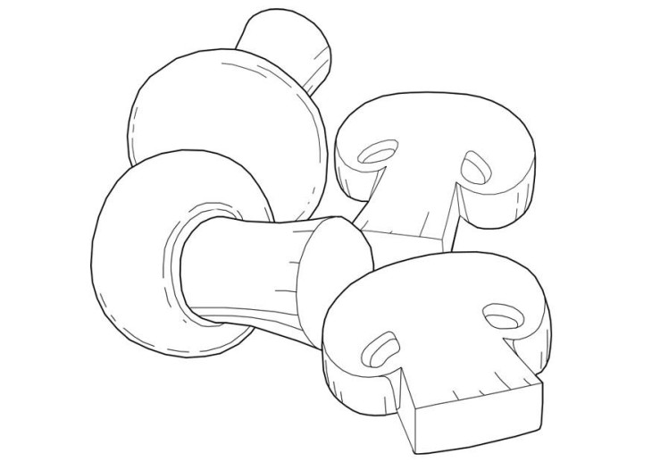 Mushrooms coloring page