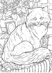 Adult Cat coloring page