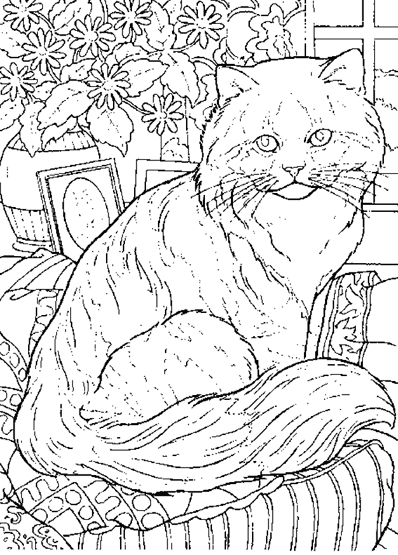 Adult Cat coloring page