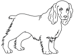 Disegno di Cane Cocker Spaniel da colorare