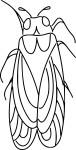 Cicada coloring page