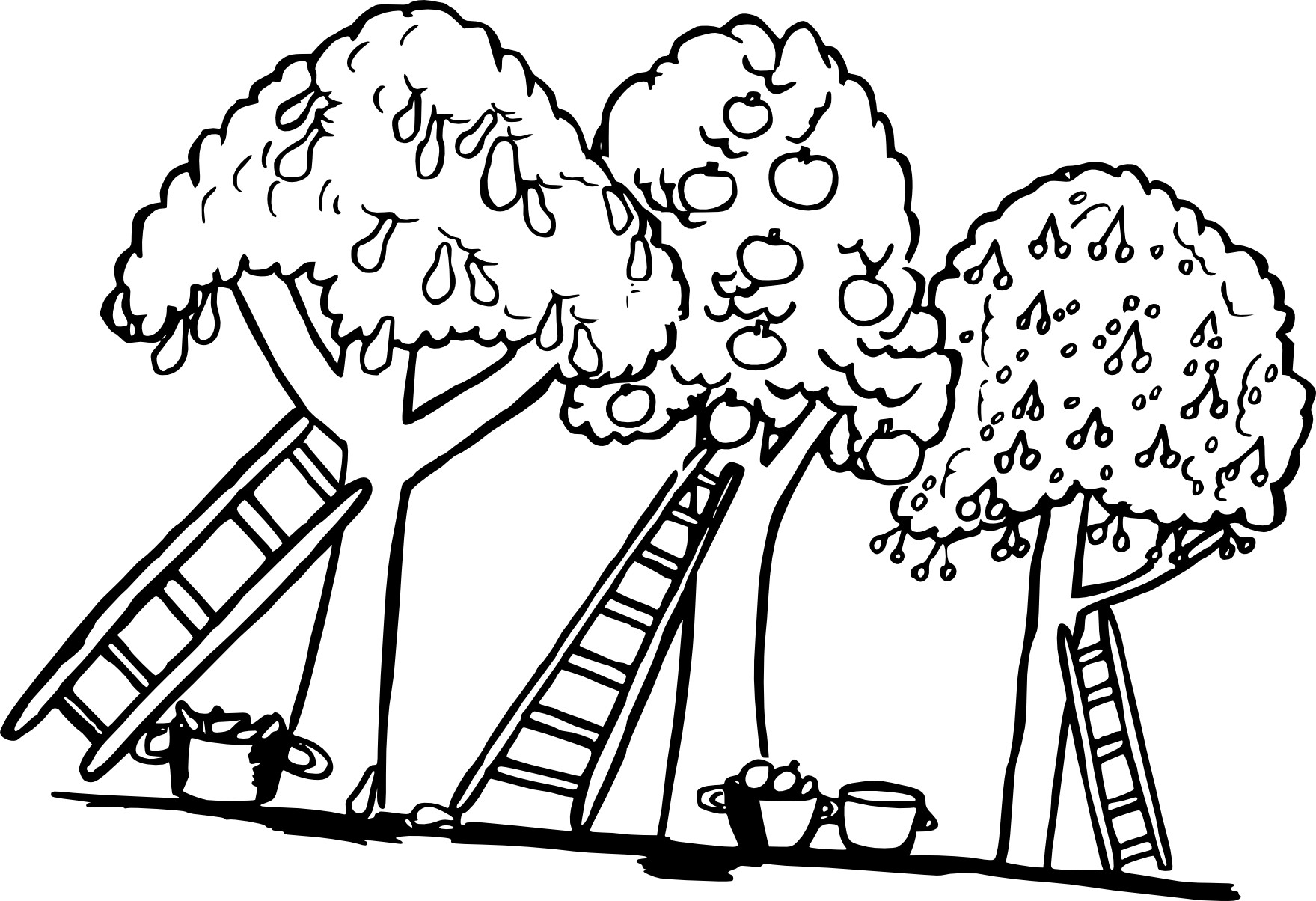 Apple Trees coloring page