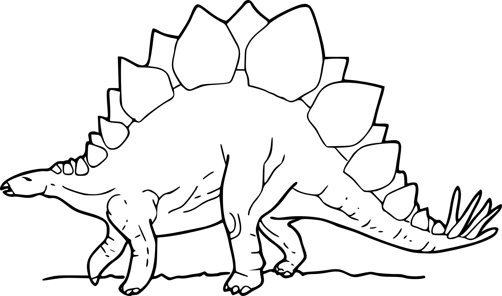 Coloriage dinosaure stegosaure