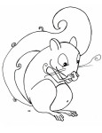 Squirrel Eats An Acorn coloring page