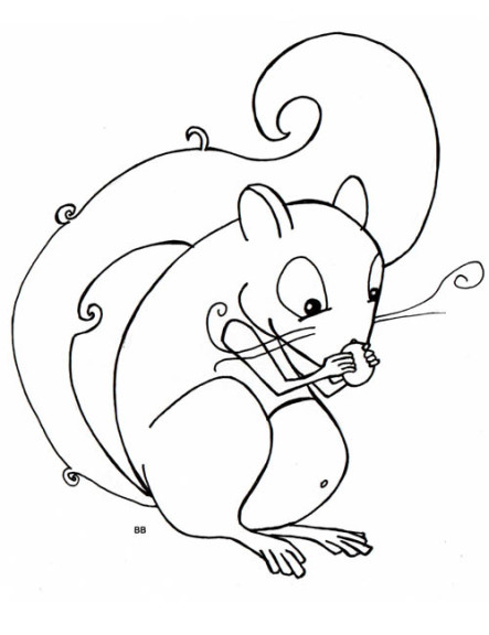 Squirrel Eats An Acorn coloring page