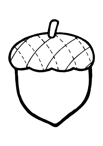 Acorn coloring page