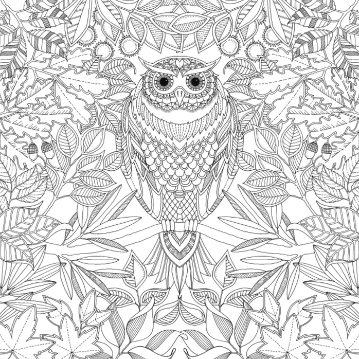 Coloriage hibou zen