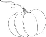 Pumpkin coloring page