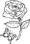 Disegno di Fiore rosa da colorare