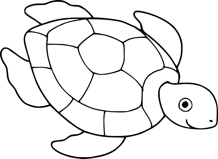 Sea Turtle coloring page