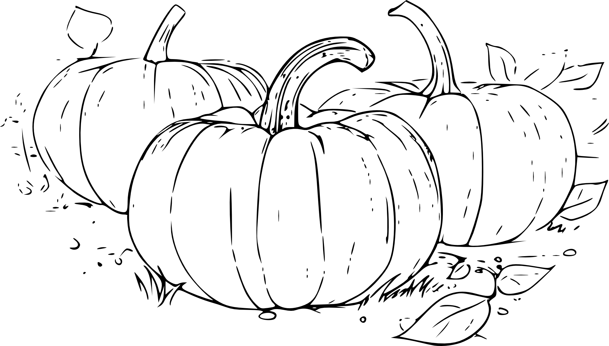 Three Pumpkins coloring page