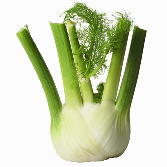 Fennel