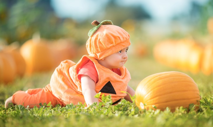 Pumpkin Picking