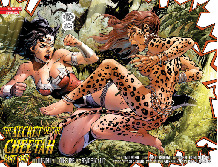 Wonder Woman And Cheetah