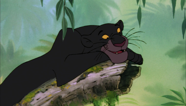 Bagheera panthere