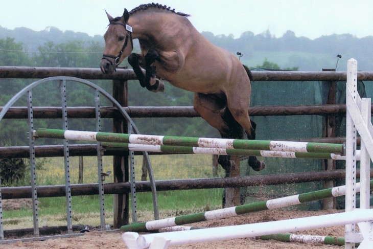 Cheval qui saute