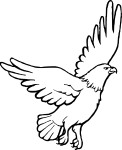 Eagle coloring page