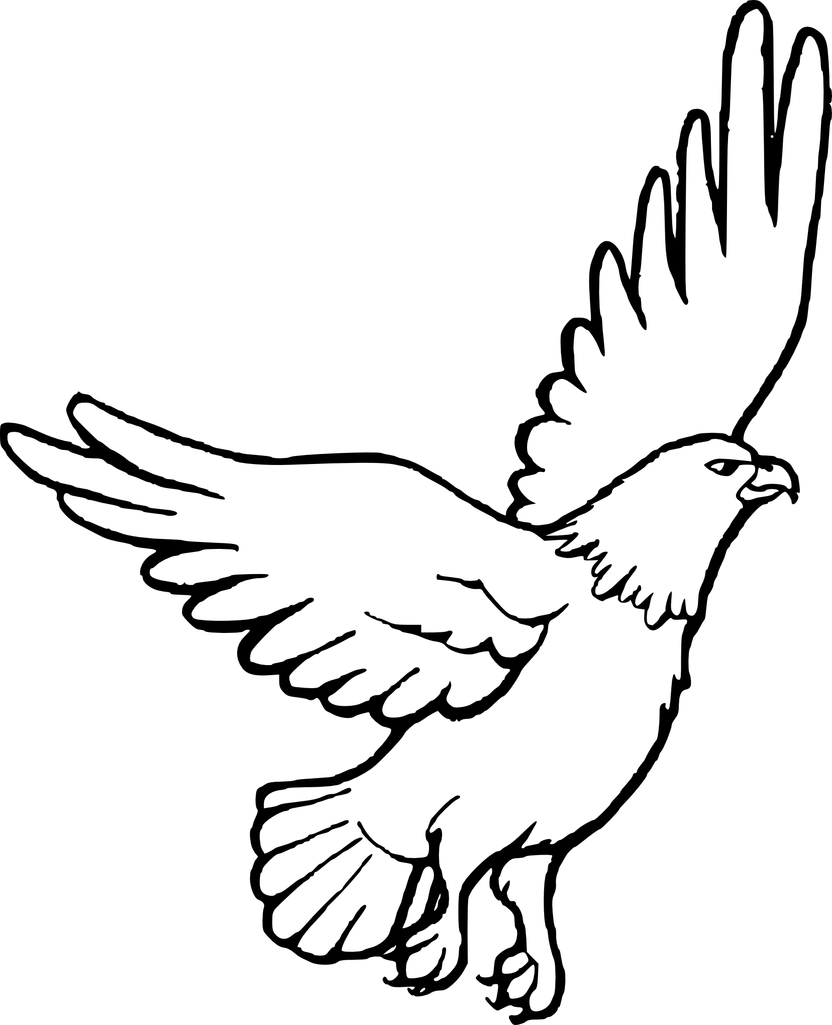 Eagle coloring page