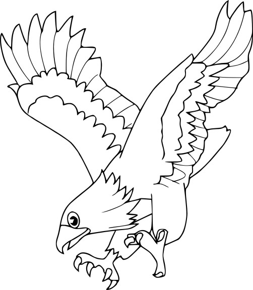 Coloriage aigle royale