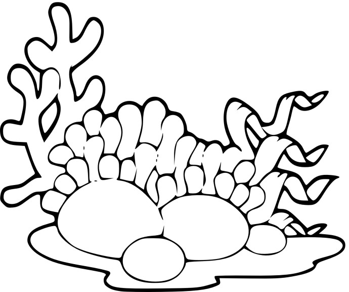 Marine Algae coloring page