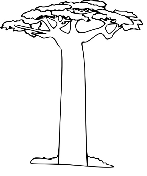 Baobab Tree coloring page