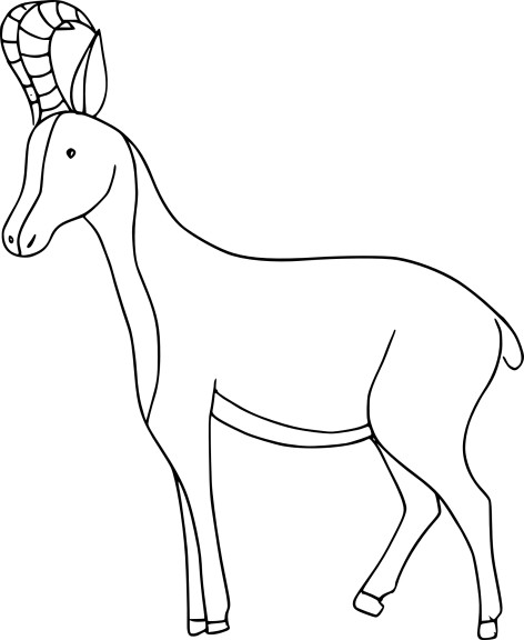 Coloriage bebe chamois