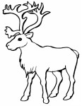 Caribou coloring page