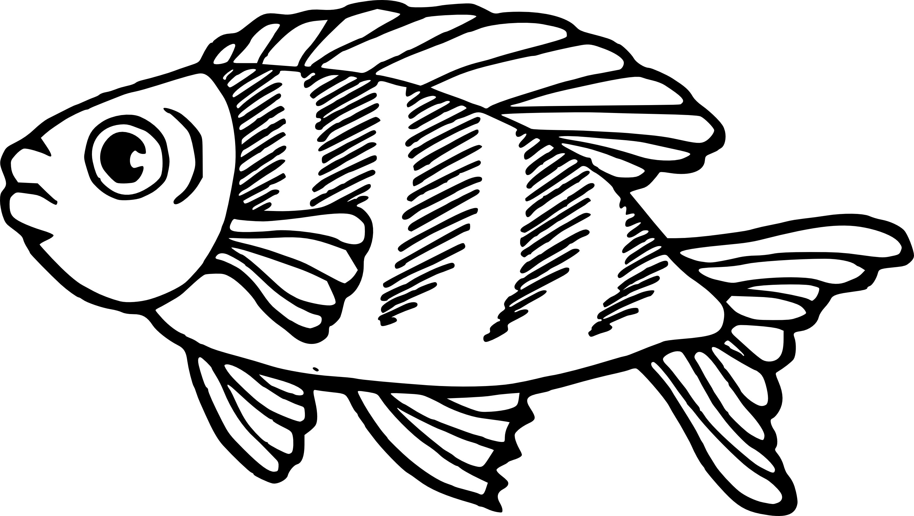 Carp coloring page