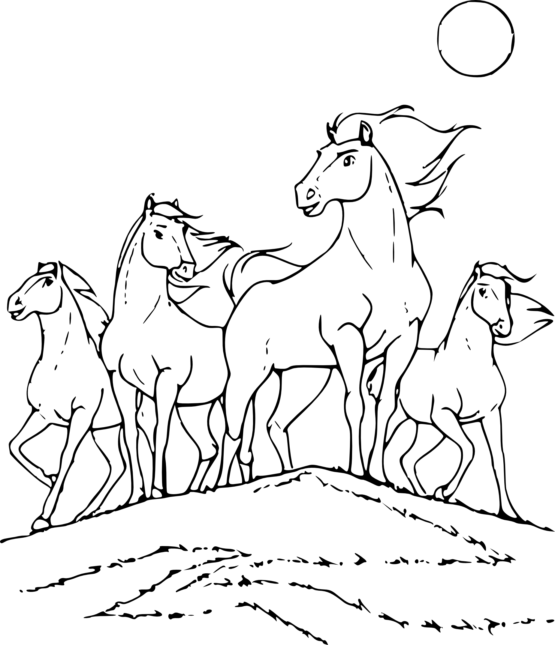 Wild Horse coloring page