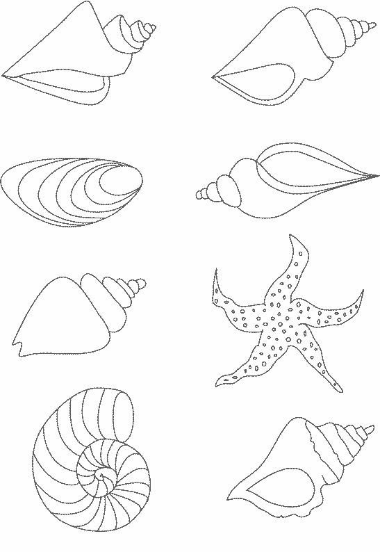 Shellfish coloring page